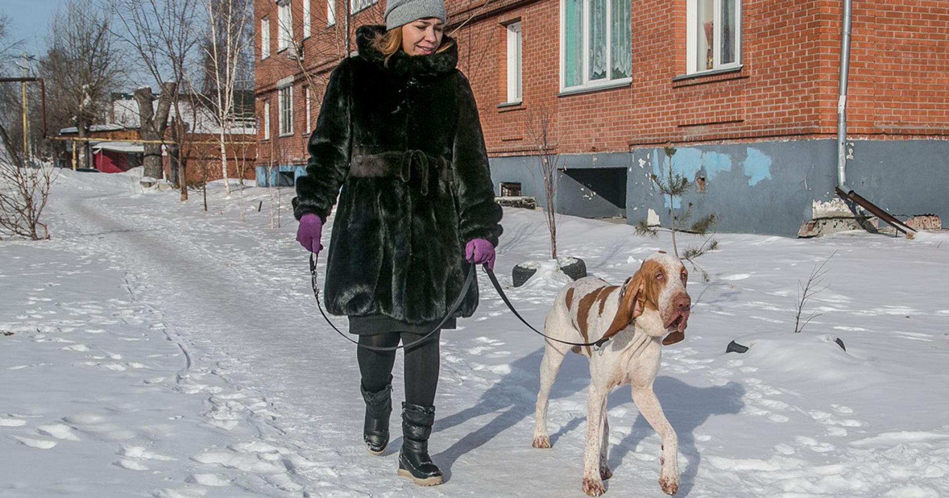 Пёс в большом городе | Ведомости законодательного собрания НСО